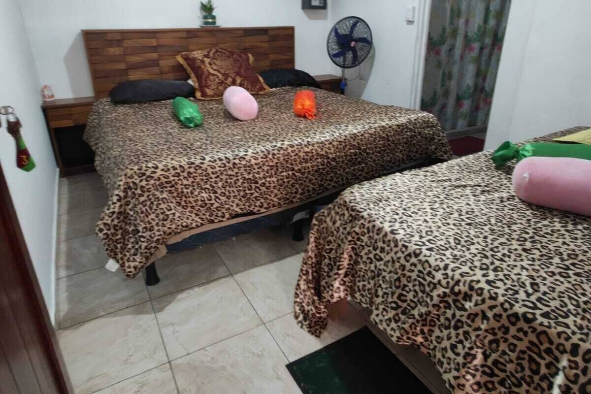 A small, compact room with two beds, each with a leopard print bedspread. There is a wooden headboard on one bed, a small potted plant on the nightstand, and a wall-mounted air conditioner.