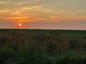 Unclassified image, 2 of 30, button