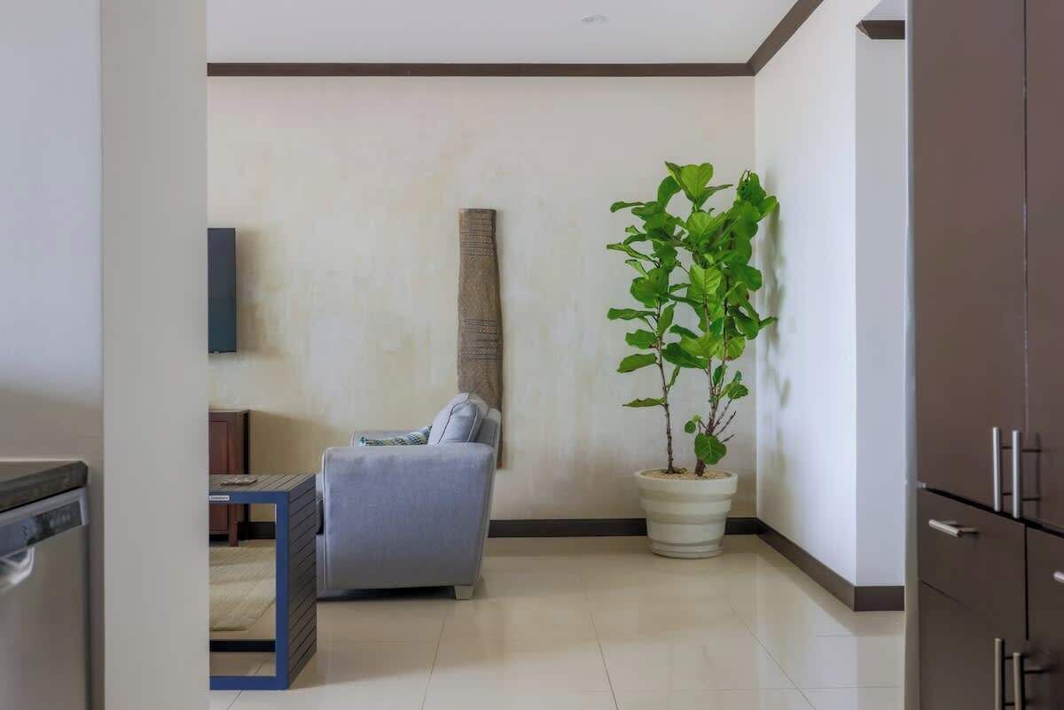 Una sala de estar moderna con un sofá gris, una mesita, una planta en maceta y un televisor de pantalla plana montado en la pared.