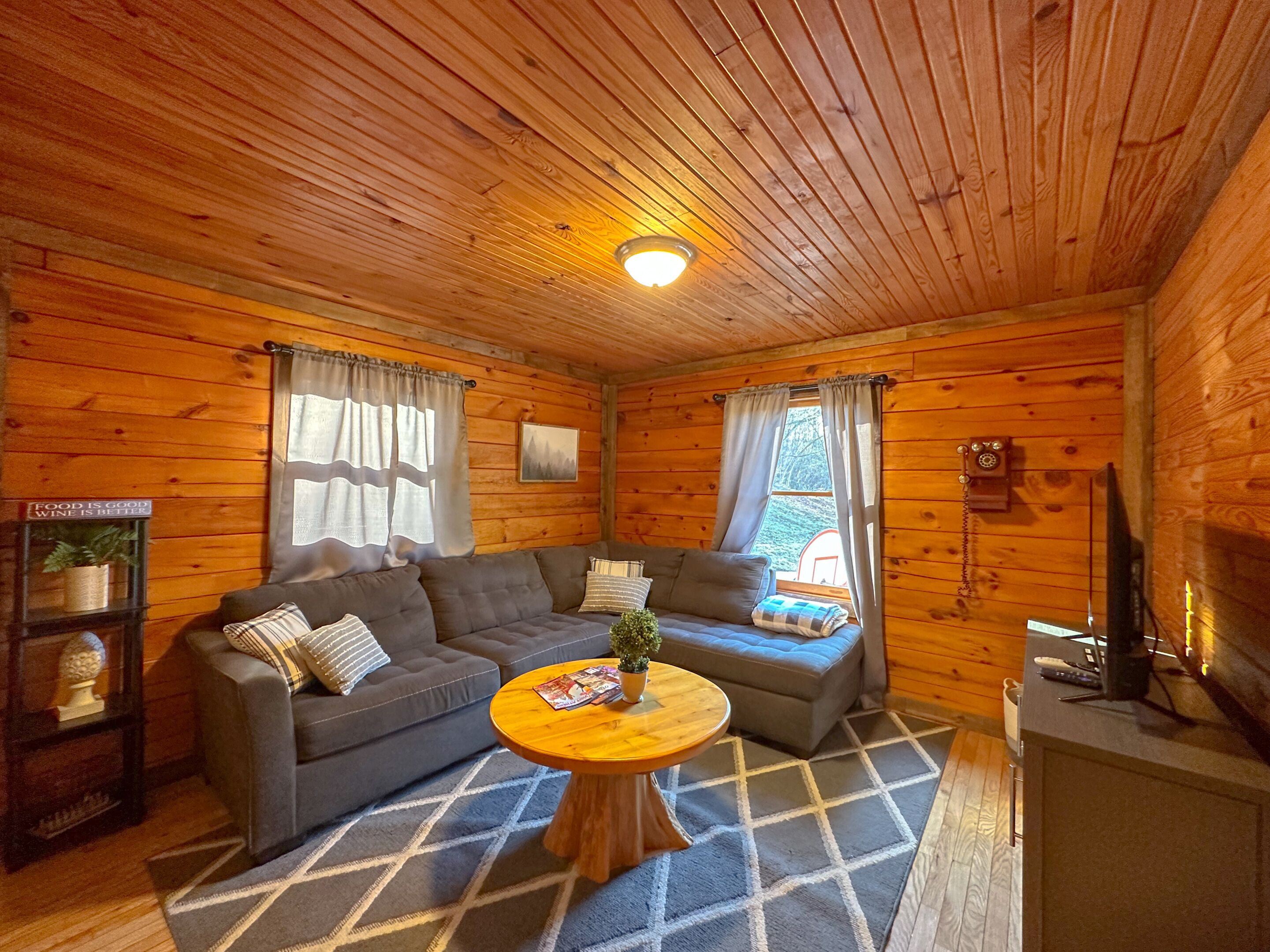 Smart TV, fireplace, DVD player, books