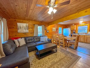 Smart TV, fireplace, DVD player, books