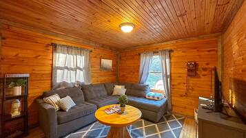 Smart TV, fireplace, DVD player, books