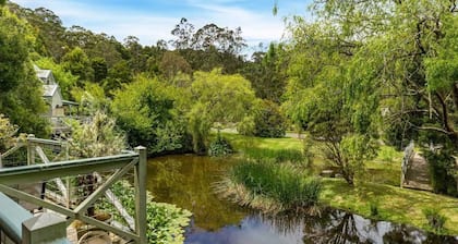 Plum Tree Cottage - Apollo Bay