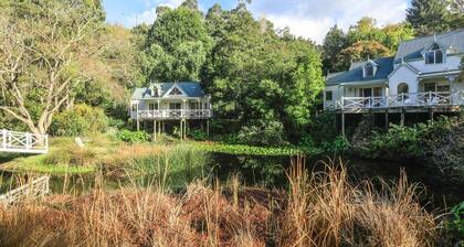 Little Plum Cottage - Apollo Bay