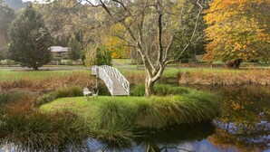 Un parco tranquillo con un ponte di legno, uno stagno e foglie autunnali.