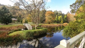 Ein friedlicher Park mit Teich, einer Holzbrücke und einer kleinen Sitzgelegenheit.