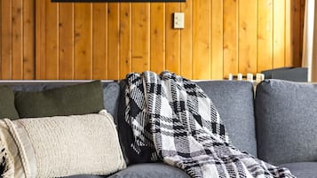 Smart TV, chimenea y libros