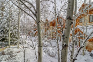 Property grounds - Ski in/out mountain getaway with pool, hot tub, & balcony - steps to the slopes (Edwards)