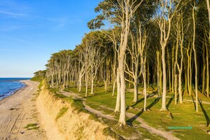 Una spiaggia nelle vicinanze
