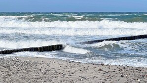 A beach with waves crashing onto a wooden breakwater. - Apartment 'Villa Deichgraf 12 Meerblick' with Sea View, Balcony and Wi-Fi (Börgerende-Rethwisch)
