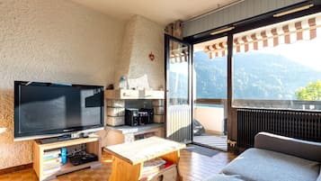 TV, fireplace, DVD player