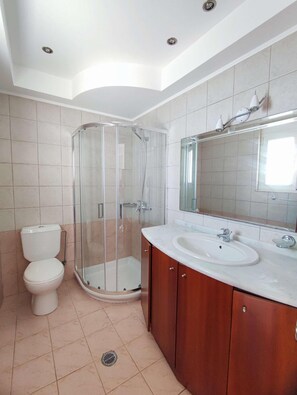 Ein Badezimmer mit einer Duschkabine, einer Toilette und einem Waschtisch mit Spüle und Spiegel.