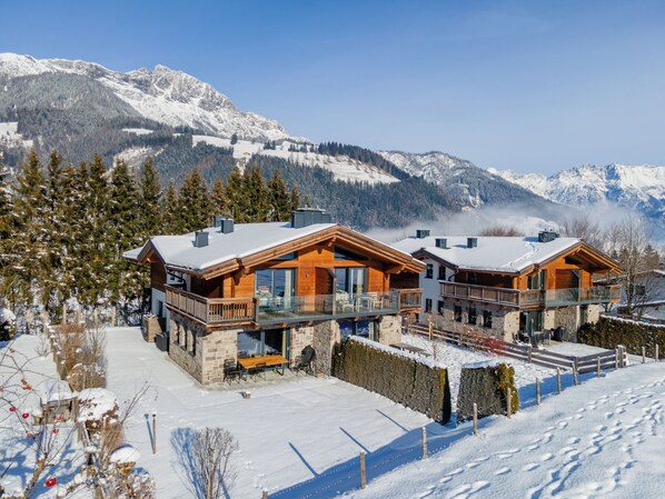 Exterior - Luxury chalet with wellness near large ski area (Leogang)