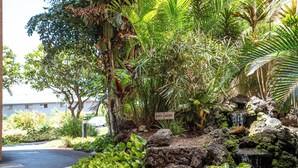 A garden with a sign that reads "RITAS GARDEN" surrounded by lush greenery and a small waterfall. - Top Floor Maui Vista with Ocean View, AC, 5min Walk to Beach (Kihei)