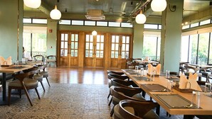 A spacious dining area with high ceilings, large windows, and a mix of wooden and metal furniture. - Mystique Mayong  (Mayang)