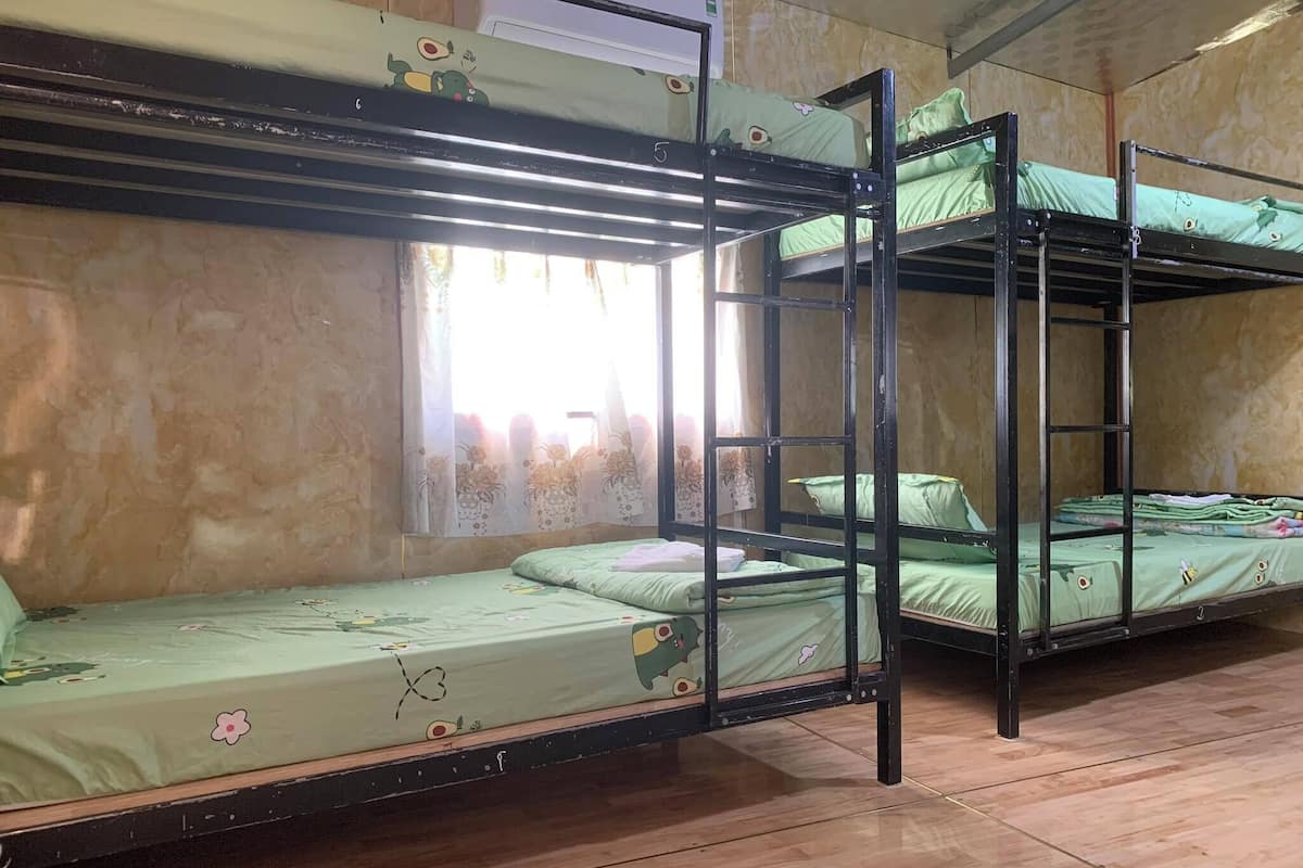A dormitory room with bunk beds, each with a green bedspread featuring cartoon characters.