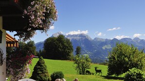 A patio with a table and chairs, a stone pathway, and a view of a green field with deer and mountains in the background.