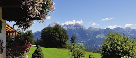 A patio with a table and chairs, a stone pathway, and a view of a green field with deer and mountains in the background.