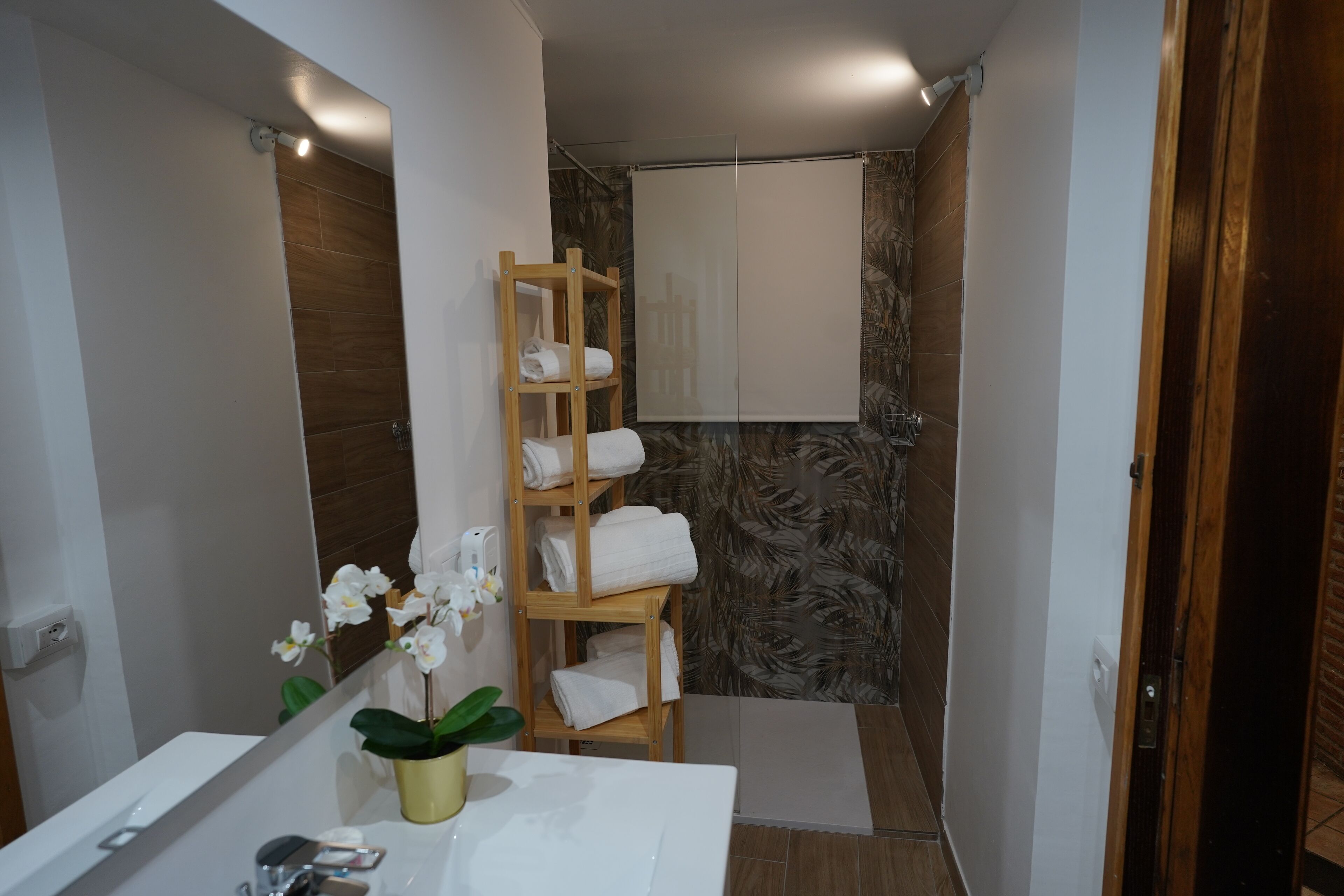 Dusche, Haartrockner, Bidet, Handtücher