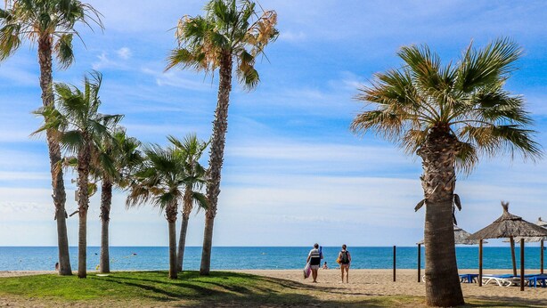 A beach with palm trees, a clear sky, and a calm sea. - La Cala townhouse, beach 400 m, roof terrace, BBQ (La Cala de Mijas)
