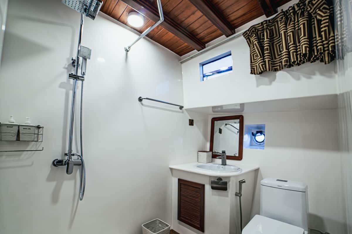Deluxe Cabin | Bathroom