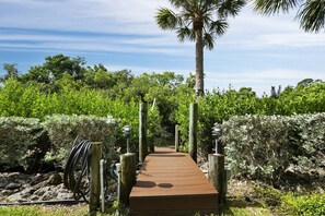 A wooden pathway leading through a lush garden with a palm tree and dense foliage. - Luxury Canal Home | Pool, Spa & Dock Near Beach (Nokomis)