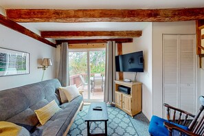 Télévision, lecteur de DVD, livres, vidéothèque