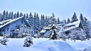 Eksteriør