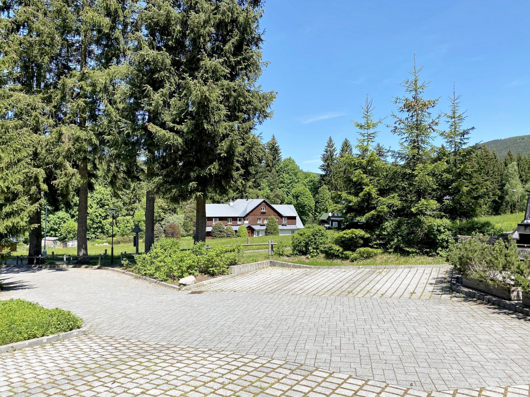 A lodge with a brick patio, surrounded by dense forest and a mountain backdrop.