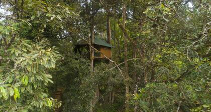 Ela Ecoland Munnar - A Nature Retreat