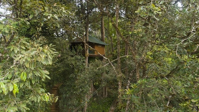 Ela Ecoland Munnar - A Nature Retreat