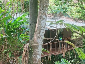 传统村舍 | 特色装修、特色家居、办公桌、遮光窗帘