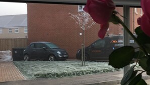 A view through a window with a rose in the foreground, a brick building, and two cars parked outside. - Impeccable 2-bed House in Attleborough (Attleborough)
