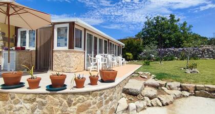 Nazaré WSL Experience 2025