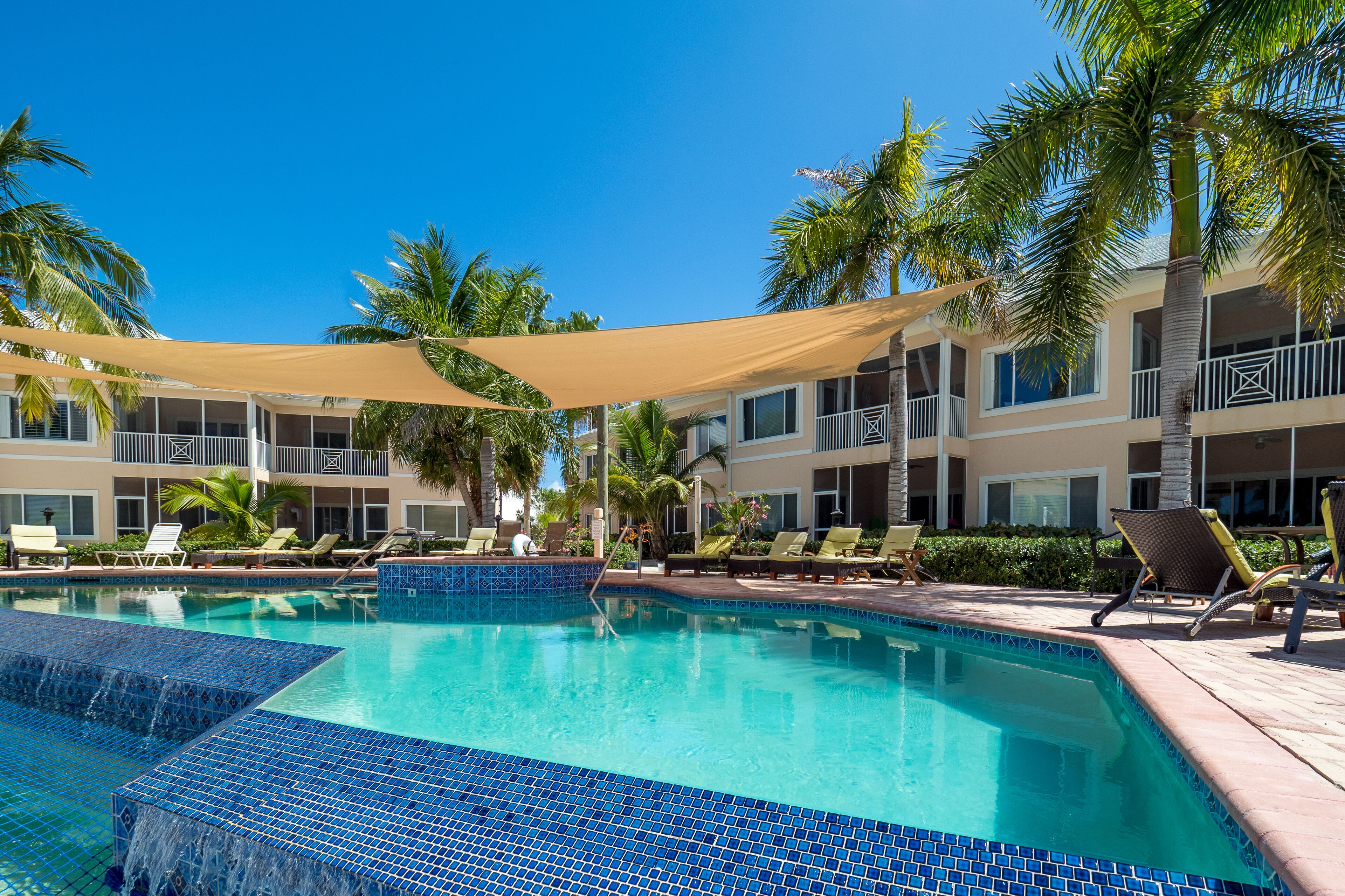A swimming pool with blue-tiled edges, surrounded by lounge chairs and palm trees, with a building in the background.