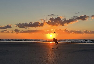 Coastal Cabana by Vilano