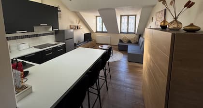 Appartement Cosy au Centre Ville de Bruxelles