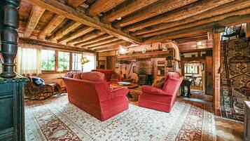 Smart TV, fireplace, books