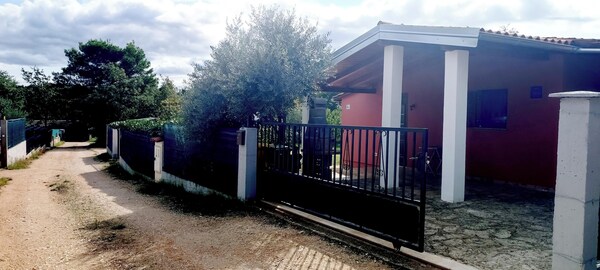 Studio Nena - Bale