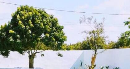Villa Bella 2 bed bungalow with stunning garden, pool & only 5 mins from beach.
