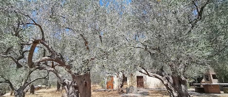 Exterieur