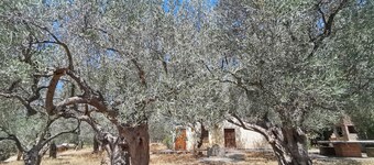 A tastefully decorated rustic country house
Pet friendly - ideal for families 