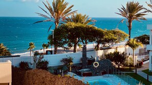 Ein Poolbereich mit Blick auf das Meer, umgeben von Palmen und einem weißen Zaun.