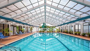 Una piscina interior con techo de cristal, sillas reclinables azules y plantas en macetas.