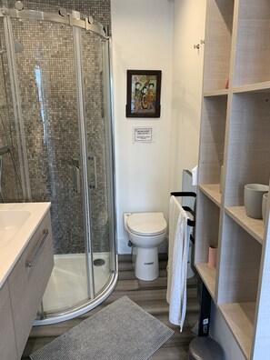 Hair dryer, towels, soap, shampoo
