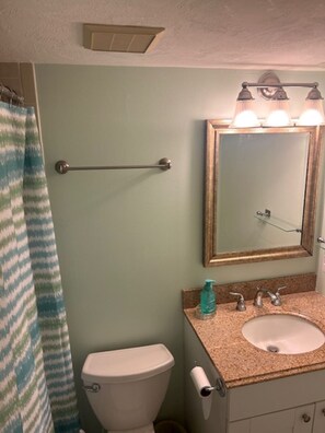 A bathroom with a toilet, a sink with a mirror above it, and a towel rack. - TOP FLOOR Spectacular Ocean and Pool View Condo  (Ormond Beach)