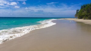 Una playa con aguas turquesas cristalinas, una orilla arenosa y una línea de árboles al fondo.