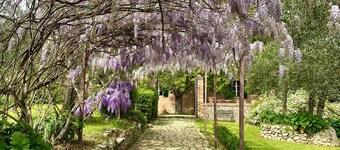 Spacious villa with stunning pool, luscious gardens