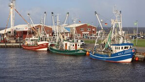 Three fishing boats docked at a marina with a building in the background.