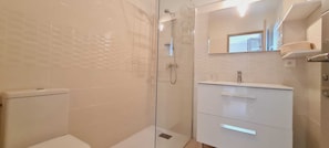 Regadera, secadora de cabello, toallas, papel de baño